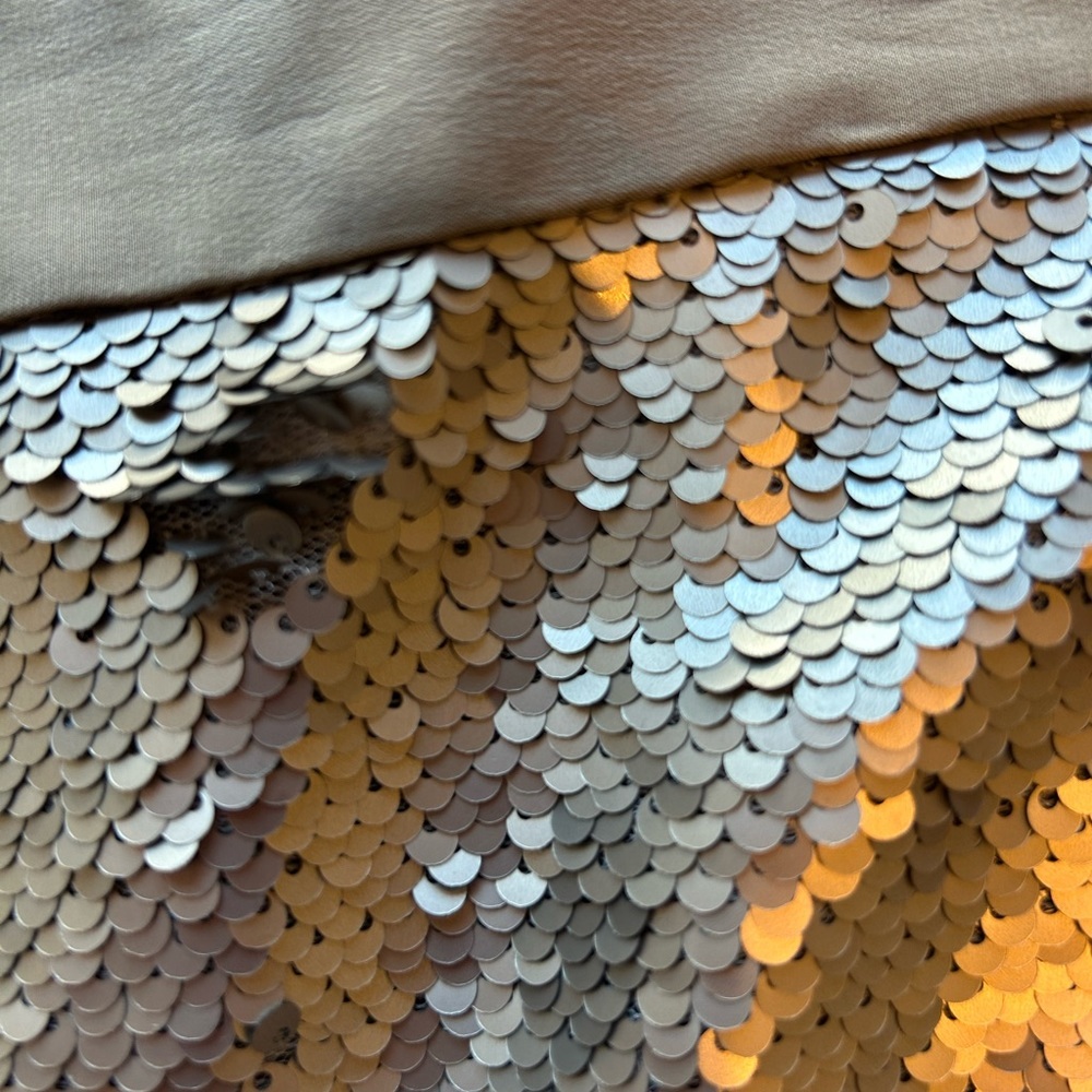 Banana Republic Matte Silver Sequin Pencil Skirt 10 Glam Holiday NYE - Picture 7 of 11